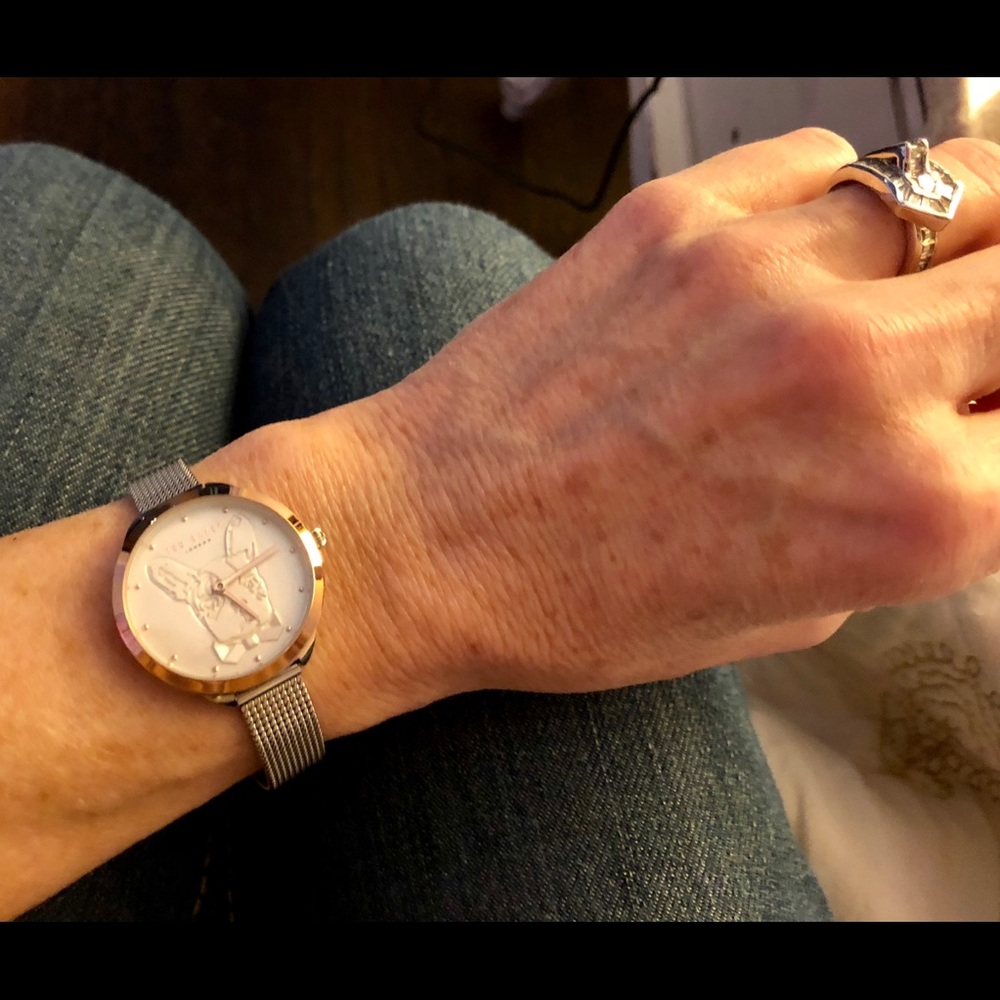 NWT Ted Baker French bulldog Boston Terrier watch - Picture 5 of 6